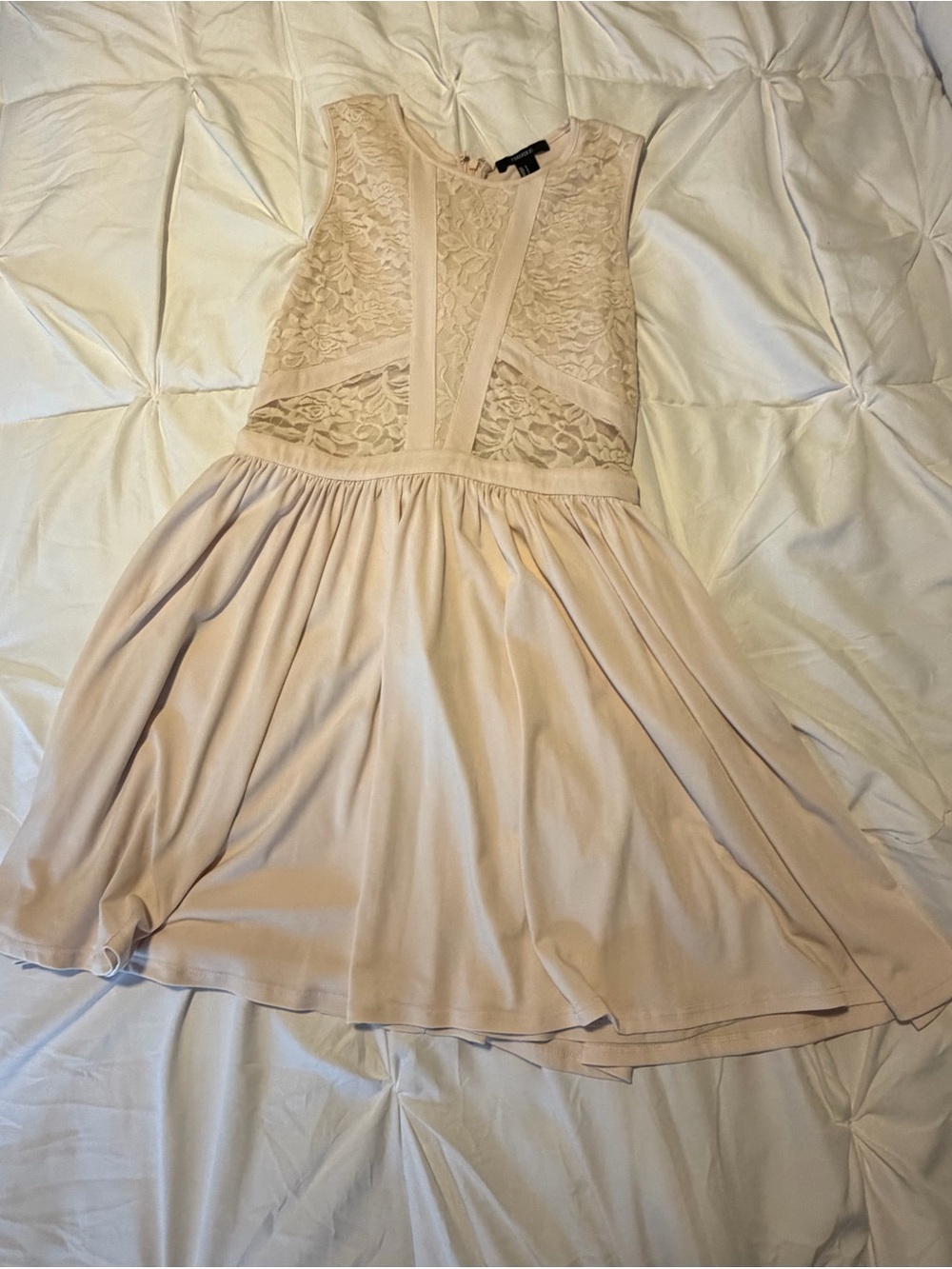 Forever 21 Blush Lace Bodice Skater Mini Dress
